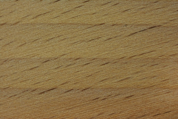 Obraz premium Background of the beech tree structure in close-up