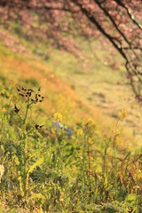 キラキラした冬の朝