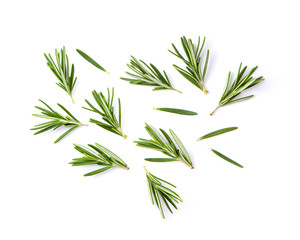 fresh rosemary isolated on white background