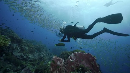4k high quality SCUBA diving towards big school of fish - Powered by Adobe