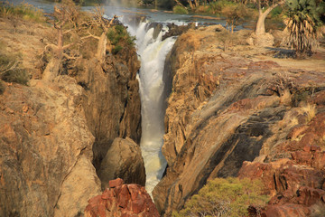 rzeka zambezi plynąca w stronę wodospadów wiktorii z afrykańskim krajobrazemw  tle - obrazy, fototapety, plakaty