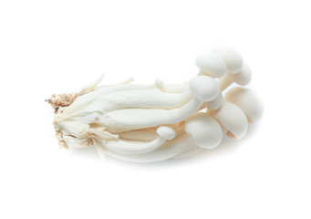 white beech mushroom or Shimeji mushroom on white background