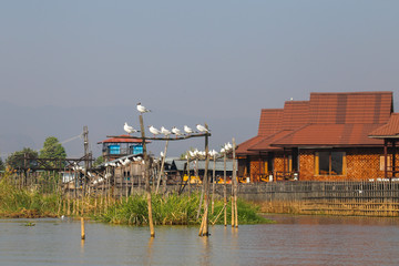 Houses on the piles of the floating village of Lake Inle