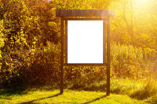 Blank white advertisement/annoucement board in the park. Sunny autumn day