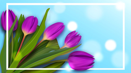 Hello April spring tulip coupon. Colorful banner background to Womans day.