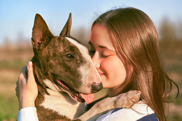 Young girl walks with bull Terrier in fresh air. Bald dog with short hair, long massive muzzle,...