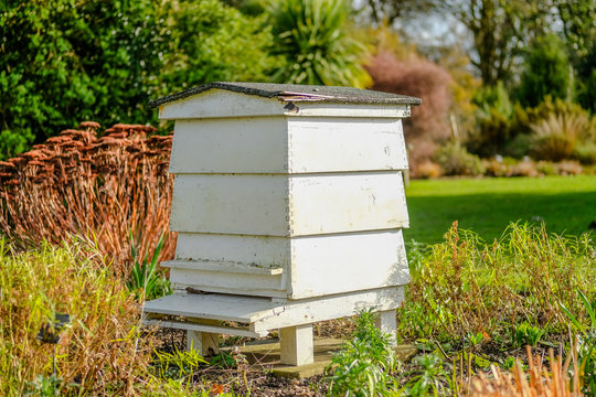 Large wooden Beehive seen located in a large garden. The well maintained lawn and shrubs are clearly evident
