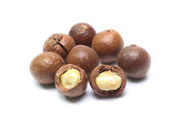 macadamia nuts on white background