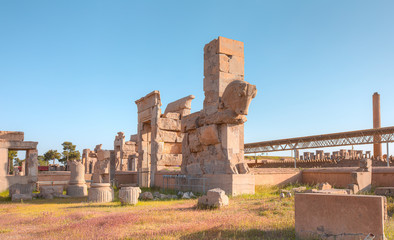Panoramic view of ancient Persian capital city of Persepolis - Shiraz, Iran
