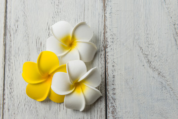 プルメリアの花