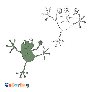 Cartoon frog. Vector illustration in the form of coloring and color example.