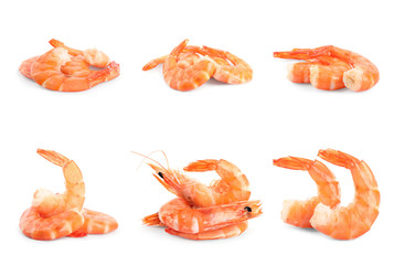 Set of delicious freshly cooked shrimps on white background