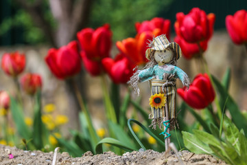 Toy scarecrow in the garden against the background of red tulips