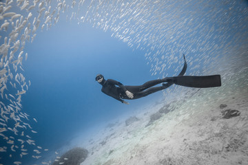 Un apn&eacute;iste plonge face &agrave; un banc de poissons