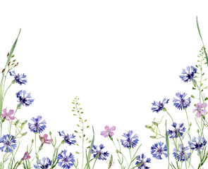 Obraz na płótnie Canvas Background from watercolor wild carnations and cornflowers.