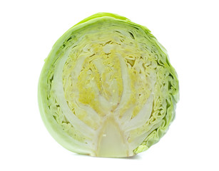 green cabbage on white background