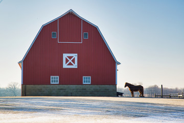 Red Barn and Horse in the Midwest 