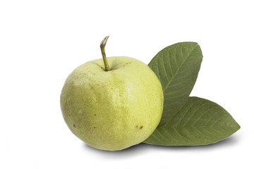 Guava on a white background