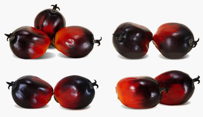 Set of Palm oil fruits isolated cut out on white background