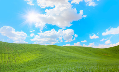 Beautiful landscape with green grass field