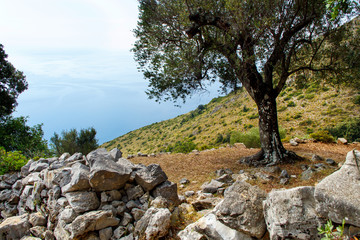 View from the hiking trail near Costa di Masseta
