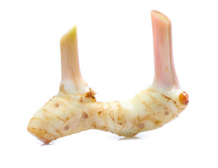 Fresh slices galangal rhizomes isolated on white background