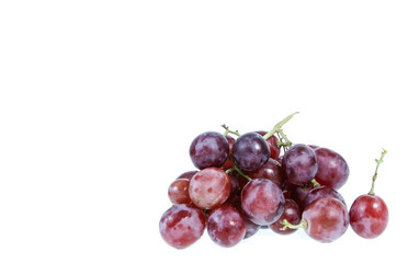 copy space red grapes isolated on white background