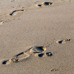 Fototapeta na wymiar large and small footprints of human feet on the wet sea sand of the beach of the Portuguese city of Sintra
