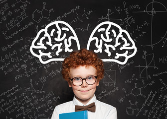 Cute genius kid student in glasses portrait