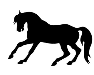 horse, black silhouette on white background, isolated monochrome image