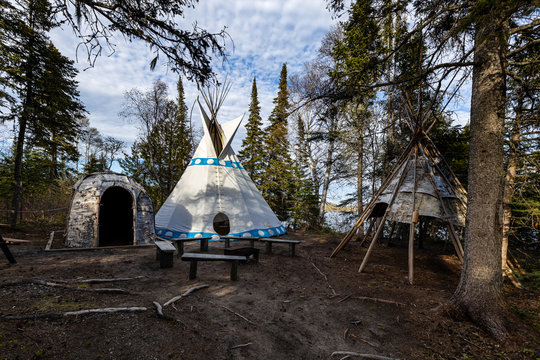 Tippi of the Pukaskwa Forest in Canada