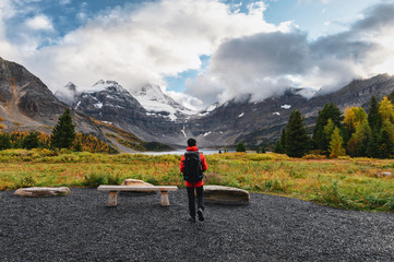 Man traveler walking in autumn forest at Assiniboine provincial park