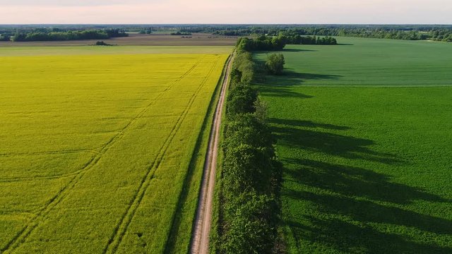 Aerial view of Lellapere, Rapla County, Estonia