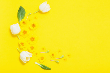 spring flowers on yellow background