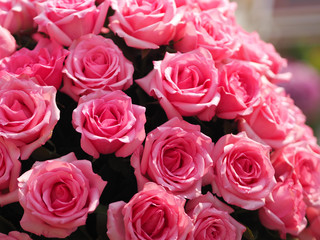 Pink rose flower arrangement Beautiful bouquet on blurred of background symbol love Valentine Day