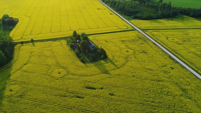 Aerial view of Lellapere, Rapla County, Estonia