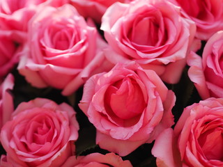 Pink rose flower arrangement Beautiful bouquet on blurred of background symbol love Valentine Day