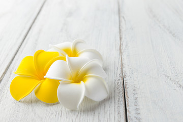 プルメリアの花
