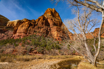 Angel's Landing and the Virgin River