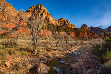 Fototapeta na wymiar Zion Canyon and the Virgin River in Winter