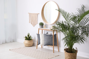 Round mirror and plants at home. Idea for interior design