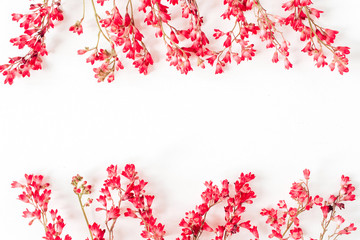 Red wildflowers on white background. Floral frame border with copy space mockup.