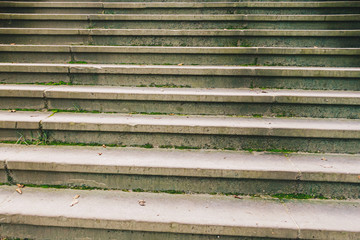 Concrete steps stair with the green moss