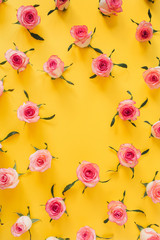 Round frame border of pink rose flower buds on yellow background. Mockup blank copy space. Flat lay, top view floral composition.