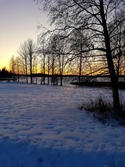Winter Beauty in Iisalmi, Finland