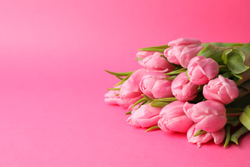 Fototapeta na wymiar Bouquet of pink tulips on pink background, space for text