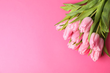 Bouquet of pink tulips on pink background, space for text
