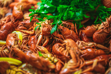 Closeup view photography of boiled red crayfish on white plate on table at restaurant.