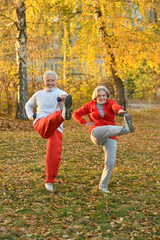 Fototapeta premium Beautiful caucasian senior couple in the park exercising