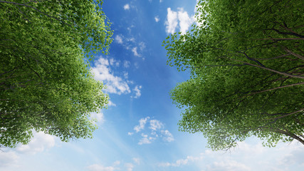 Frame of green leaves with sky background.3D illustration